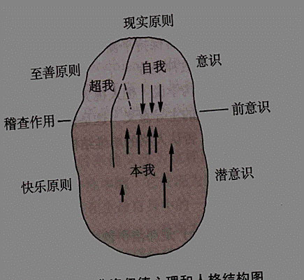 《0-3 岁婴幼儿的保育与教育》第二章 第一节 弗洛伊德与埃里克森的人格发展理论