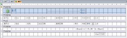 国开《数据库基础与应用》第十章 10-1-2：报表命令