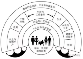 国开网《社会医学》第三章 第一节 健康社会决定因素概述